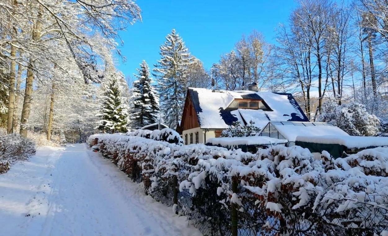 Ferienhaus Jaegerhaus Oppach Privathaus エクステリア 写真