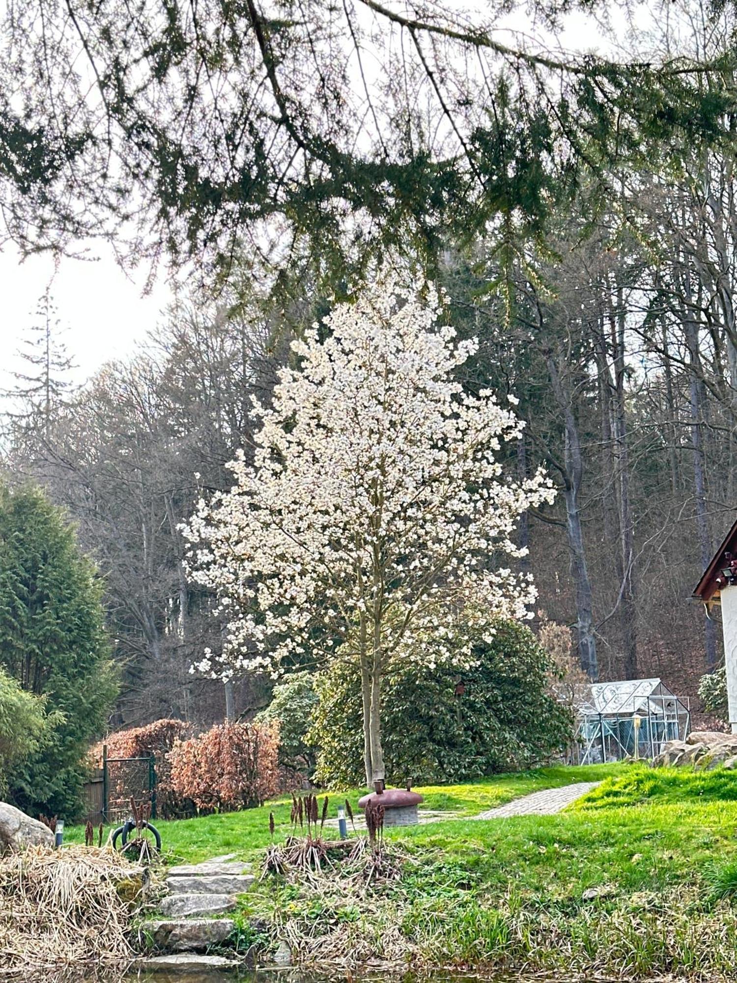 Ferienhaus Jaegerhaus Oppach Privathaus エクステリア 写真