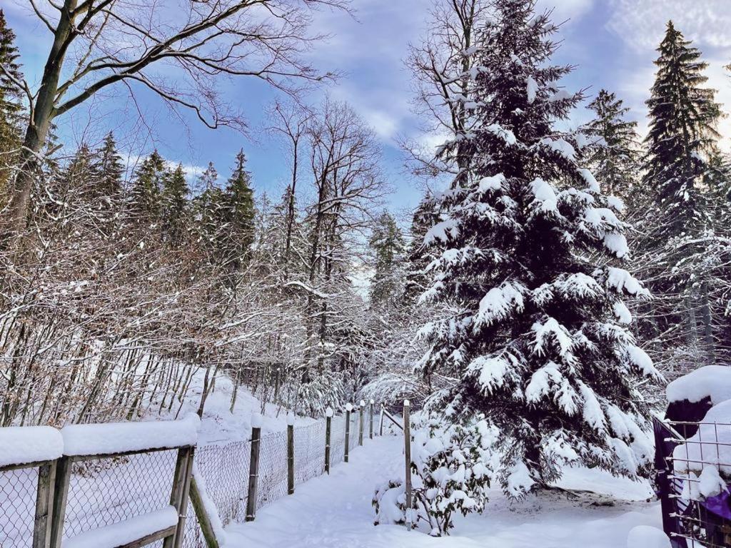 Ferienhaus Jaegerhaus Oppach Privathaus エクステリア 写真