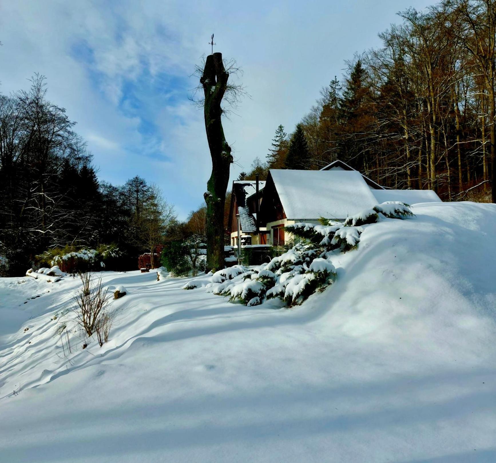 Ferienhaus Jaegerhaus Oppach Privathaus エクステリア 写真