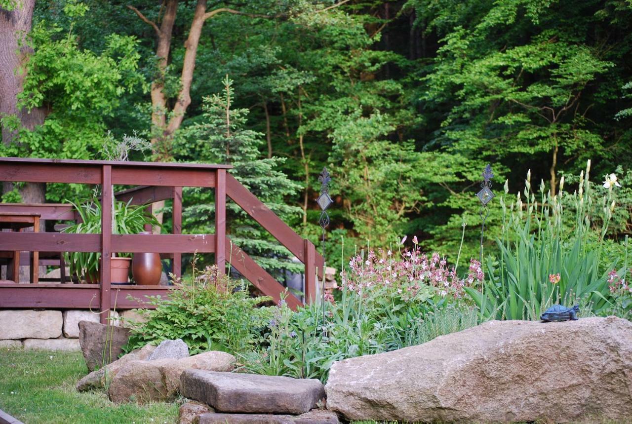 Ferienhaus Jaegerhaus Oppach Privathaus エクステリア 写真